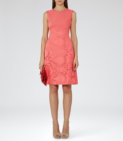 Reiss | REBBIE - LACE FIT AND FLARE DRESS |£225